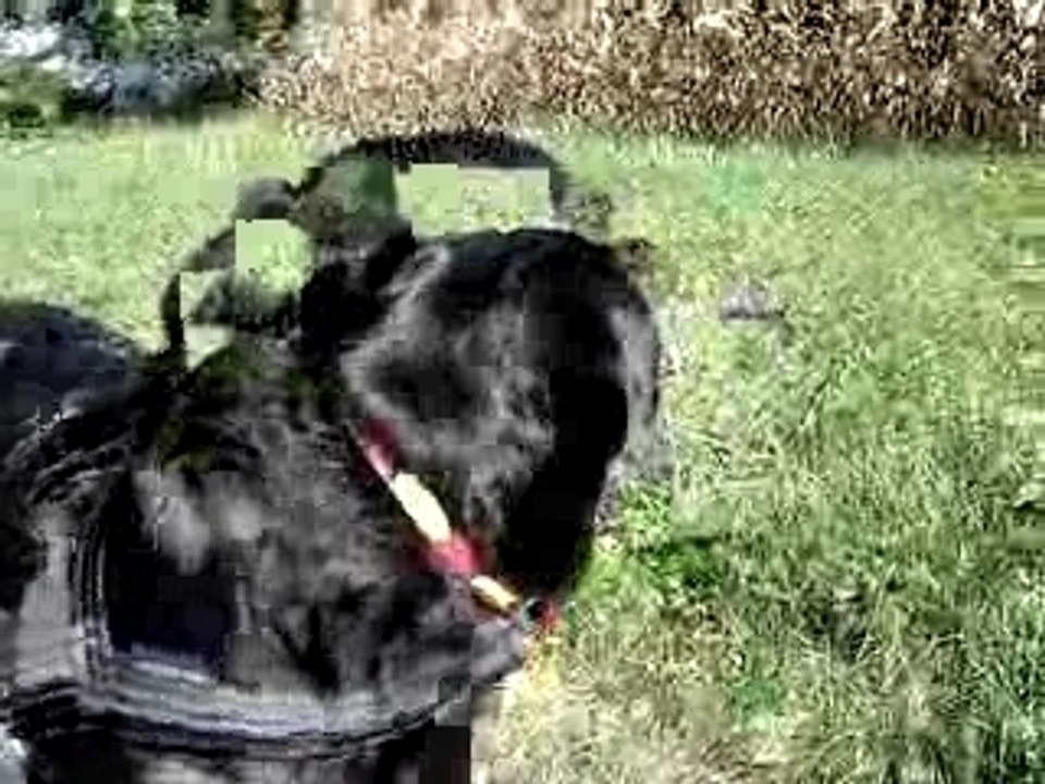 Luna1