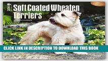 Best Seller Wheaten Terriers, Soft Coated 2016 Square 12x12 Free Read