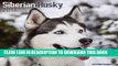 Best Seller Siberian Husky Calendar - Only Dog Breed Siberian Husky Calendar - 2016 Wall calendars