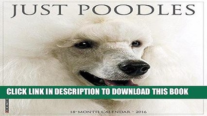 Best Seller 2016 Just Poodles Wall Calendar Free Read