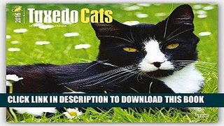 Ebook Tuxedo Cats 2016 Square 12x12 Free Download