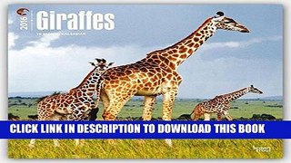 Best Seller Giraffes 2016 Square 12x12 (Multilingual Edition) Free Read