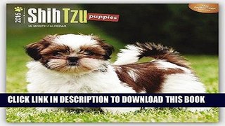 Ebook Shih Tzu Puppies 2016 Square 12x12 Free Download