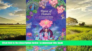 Read book  The Power of Flowers: Healing Body and Soul Through the Art and Mysticism of Nature