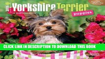 Best Seller Yorkshire Terrier Puppies 2016 Mini 7x7 (Multilingual Edition) Free Read