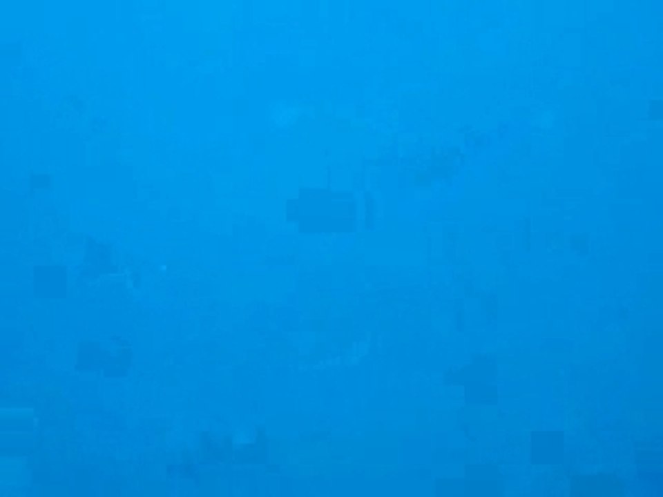 Vid_marteau
