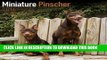 Best Seller Miniature Pinscher Calendar - Breed Specific Miniature Pinscher Calendar - 2016 Wall