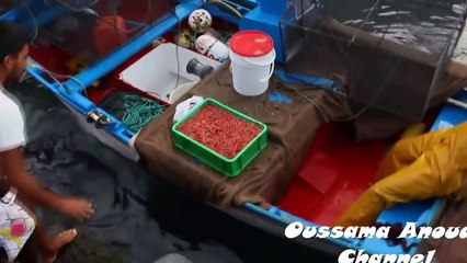 Plays With A Very Strange Friend. When We Realized What It Was Shocking Video !