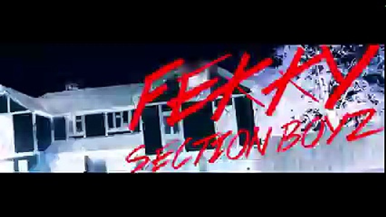 Fekky Ft Section Boyz - Mad Ting, Sad Ting (Official Video) @FekkyOfficia ¦ Link Up TV