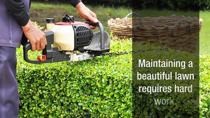 Expert Lawn Care Services in Hingham MA