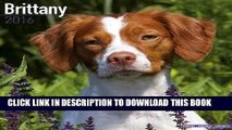 [PDF] Brittany Calendar - Only Dog Breed Brittanys Calendar - 2016 Wall calendars - Brittanys Dog