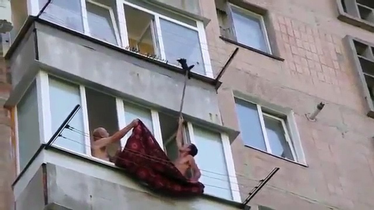 Đây có thể nói là cách cứu mèo bá đạo nhất thế giới