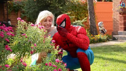 Hide and Seek - Spiderman vs joker w Spider man & Frozen Elsa Princess in Real Life