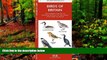 Big Deals  Birds of Britain: A Folding Pocket Guide to Familiar Species of England, Scotland