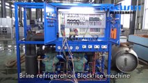 Focusun brine block ice machine(10 tons per day)