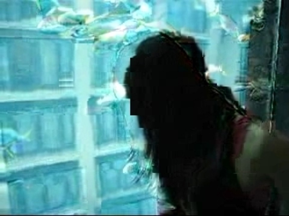 Video Aquarium1