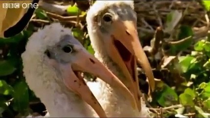 Just cuz we need a laugh.