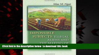 Best books  Impossible Subjects: Illegal Aliens and the Making of Modern America (Politics and