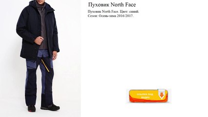Пуховик North Face  синий