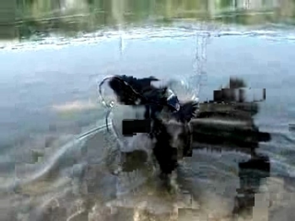 MOV02168