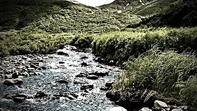 Dusica Bilkic - A sto cemo ljubav kriti