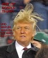 Wer ist dieser Trump überhaupt? | JRulz` Meinungswirrwarr