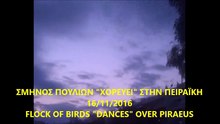 ΣΜΗΝΟΣ ΠΟΥΛΙΩΝ " ΧΟΡΕΥΕΙ " ΣΤΗΝ ΠΕΙΡΑΪΚΗ FLOCK OF BIRDS DANCES OVER PIRAEUS 16 11 2016