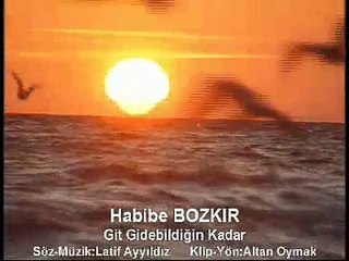 habibe bozkır ,git gidebildigin kadar