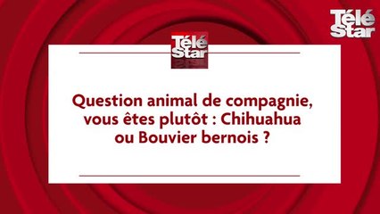 Alex Hugo : l'interview de Samuel Le Bihan et Lionnel Astier