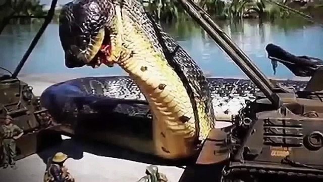 Giant Anaconda Found In Amazon River #2 GIANT ANACONDA ATTACKS WORLD S BIGGEST PYTHON SNAKE