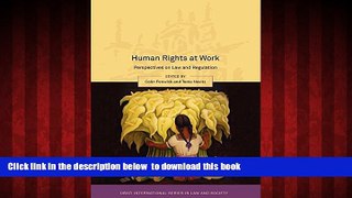 liberty book  Human Rights at Work: Perspectives on Law and Regulation (Onati International Series