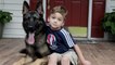 Loyal German Shepherd Helps Family With The Chores: SUPERPOWER DOGS