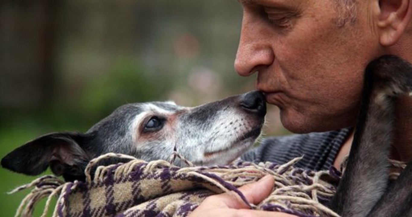 Il cane va soppresso, il padrone organizza un ultimo saluto da applausi