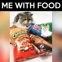 Un chat empêche sa propriétaire d'approcher ses paquets de chips !