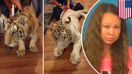Police seize tigers, monkeys, cougar, fox and skunk living in woman’s home