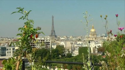 هذا الصباح-الزراعة المنزلية لها فوائد صحية ونفسية