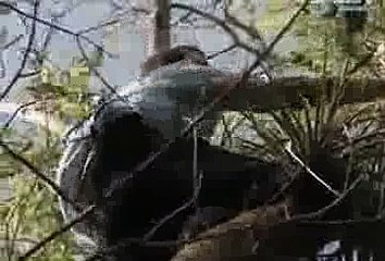 Szkoła Przetrwania S02E01 Floryda Everglades