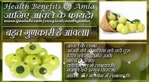 Amla | Top 10 Benefits of Amla in Hindi | आमला के फायदे | Benefits of Gooseberry