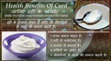 Top 5 Health benefits of Curd In Hindi  | दही के फायदे | Benefit of yogurt