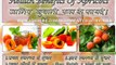 ख़ुबानी के फायदे । Top 10 Health Benefits of Apricots in Hindi | Benefits of Apricots
