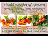ख़ुबानी के फायदे । Top 10 Health Benefits of Apricots in Hindi | Benefits of Apricots