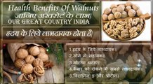 Benefit Of Walnuts In Hindi | जानिये अख़रोट के फायदे | Top 10 Health Benefit Of Walnuts