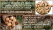 Benefit Of Walnuts In Hindi | जानिये अख़रोट के फायदे | Top 10 Health Benefit Of Walnuts
