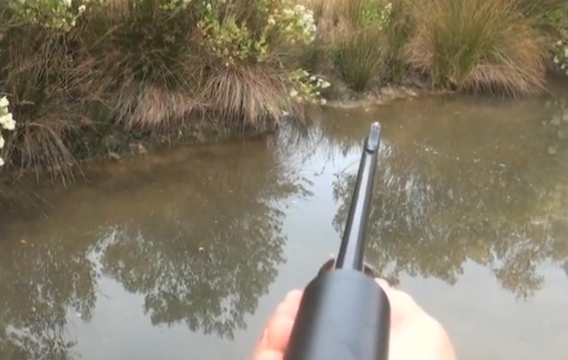 battues aux sangliers tir de 4sangliers