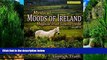 Big Deals  Mystical Moods of Ireland, Vol. III: Magical Irish Countryside (Second Edition) (Volume