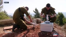 Israël - Drone : toujours plus petit, toujours plus précis
