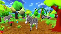 Zoo Animals Sounds For Children - Learn Wild Animals Sound For Kids And Babies