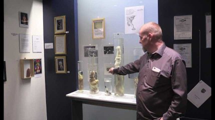 Savez-vous que vous pouvez visiter un musée du pénis à Reykjavik ?
