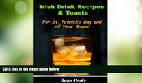 Big Deals  Irish Drink Recipes and Irish Toasts  For St. Patrick s Day And All Year  Round!  Best