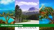 Big Sales  Scenic Routes   Byways Montana  READ PDF Online Ebooks